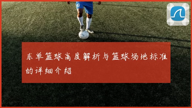 东单篮球高度解析与篮球场地标准的详细介绍